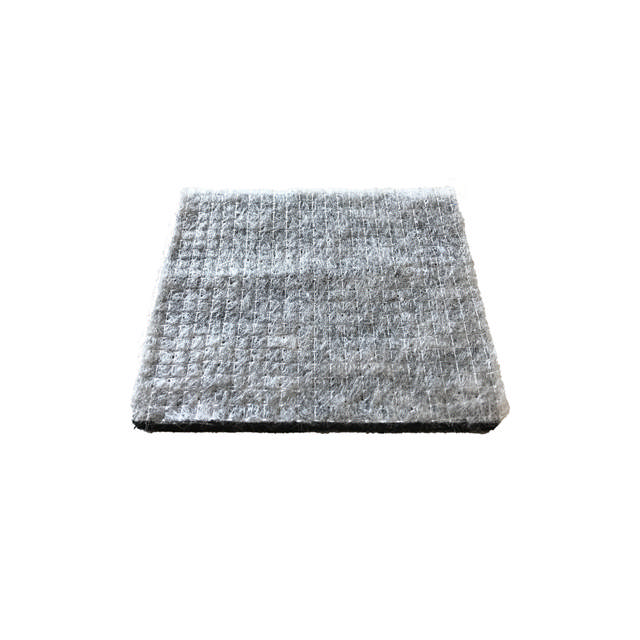 Carbon particle filter